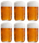 Lagunitas Bierglazen - 300 ml - 6 stuks