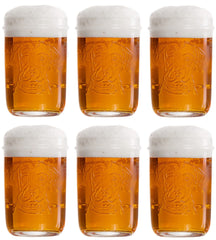 Lagunitas Bierglazen - 300 ml - 6 stuks