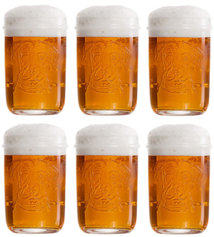 Lagunitas Bierglazen - 300 ml - 6 stuks