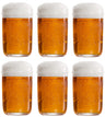Lagunitas Bierglazen - 300 ml - 6 stuks