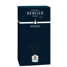 Maison Berger Geurstokjes Spirale Transparent 115 ml