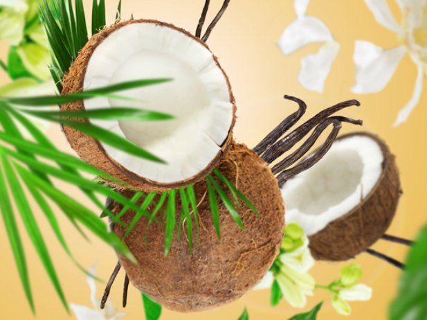 Maison Berger Navulling - til autoparfume - Coconut Monoi - 2 Stykker