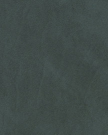 LIND DNA Placemats Nupo - Læder - Mørkegrøn - Kurvet - 44 x 37 cm - 2 Styk