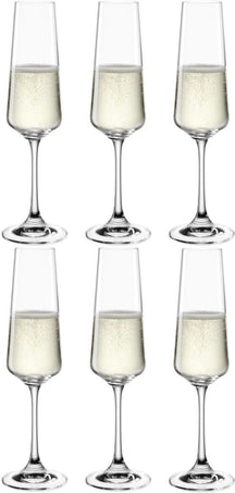 Leonardo Champagneglas / Flutes - Paladino - 220 ml - 6 styk