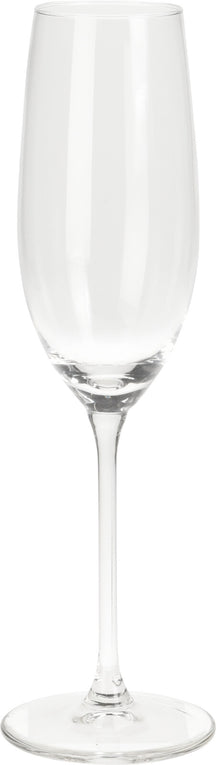 Cookinglife Champagneglas Solare 210 ml - 4 Stuks