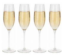 Cookinglife Champagneglas Solare 210 ml - 4 Stuks