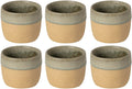 Costa Nova Bekers Arenito Sage Green 360 ml - 6 styk