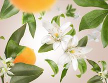 Maison Berger Navulling - til duftlampe - Orange Blossom - 500 ml