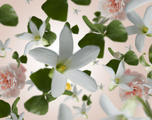 Maison Berger Navulling - til duftlampe - Precious Jasmine - 500 ml