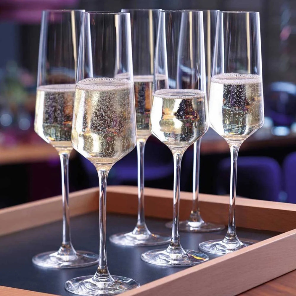 Leonardo Champagneglas - Flutes - Puccini - 280 ml - 6 stykker