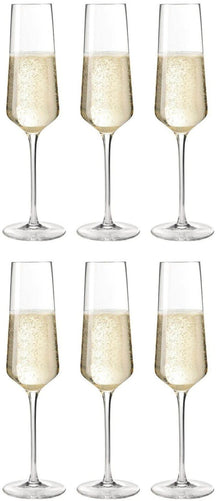 Leonardo Champagneglas - Flutes - Puccini - 280 ml - 6 stykker