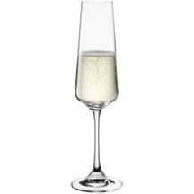 Leonardo Champagneglas / Flutes - Paladino - 220 ml - 6 styk