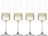 Schott Zwiesel Champagneglas - Flutes - MioVino - 260 ml - 4 styk