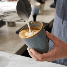 Studio Tavola Cappuccinokopper - Kaffeebægre - Storm - 310 ml - 6 stk.