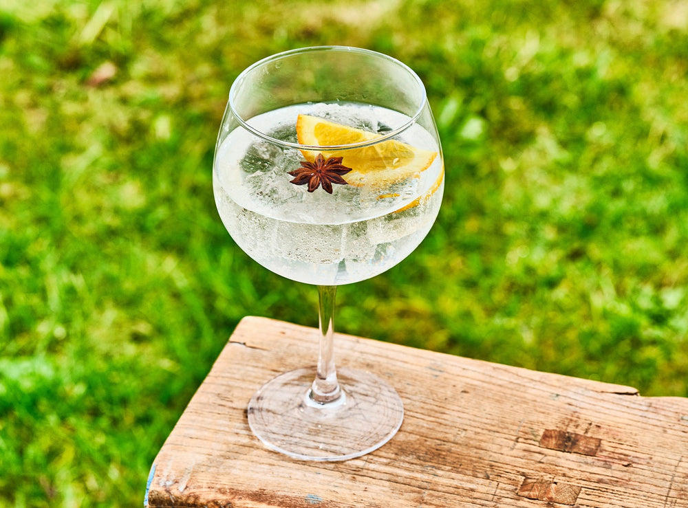 Cosy Moments Gin Tonic Glazen - 700 ml - 6 stuks