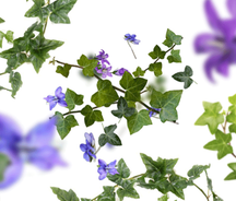 Maison Berger Autoparfumset Lolita Lempicka Guld - Med genopfyldning