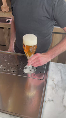 Brugse Zot Bierglazen 330 ml - 4 Stuks