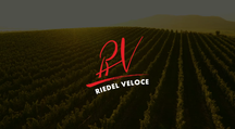 Riedel Vinglas sæt Veloce - Cabernet / Merlot, Pinot Noir / Nebbiolo, Sauvignon Blanc & Chardonnay - 4 stykker