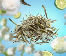 Maison Berger Navulling - til duftlampe - Pure White Tea - 500 ml