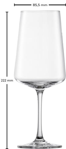 Schott Zwiesel Wijnglazenset MioVino 12-delige - Røde wijnglas, Hvide wijnglas og Champagneglas